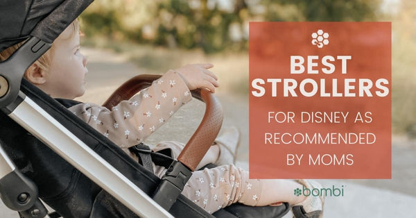 Best Strollers To Take To Disney Parks (Recommended by Moms)