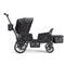 Waggle Canopy & Basket (Single)