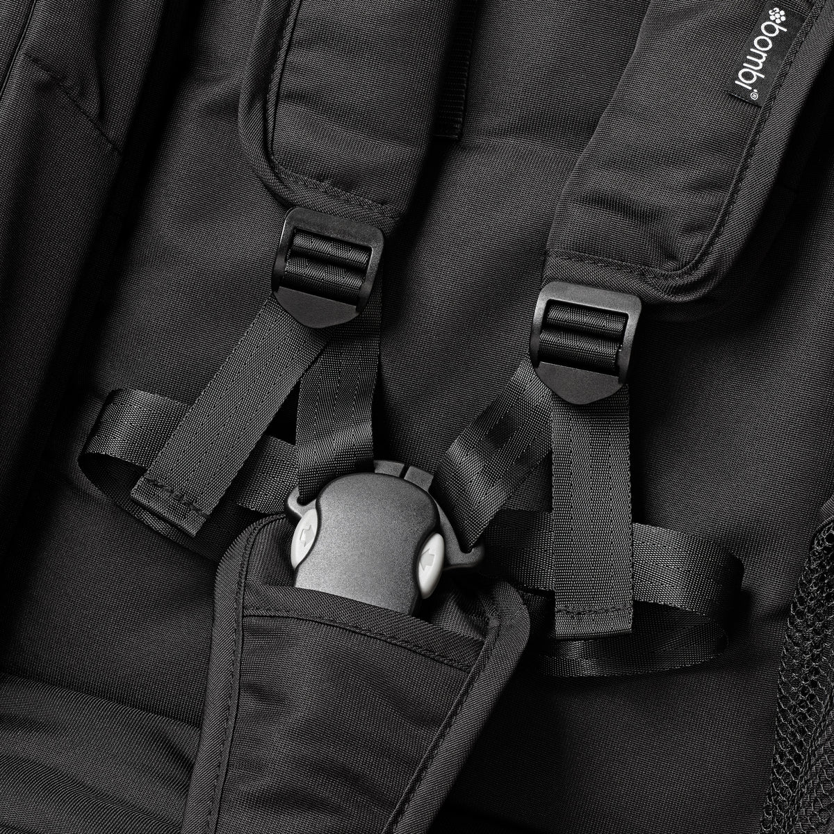 Magnetic Buckle