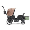 Waggle Canopy & Basket (Single)