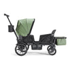 Waggle Canopy & Basket (Single)