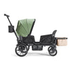 Waggle Canopy & Basket (Single)