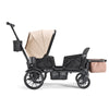 Waggle Canopy & Basket (Single)