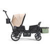 Waggle Canopy & Basket (Single)
