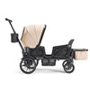 Waggle Canopy & Basket (Single)