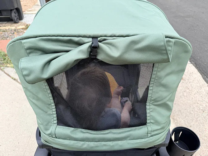 Toddler resting beneath the rear mesh window of a green Waggle canopy