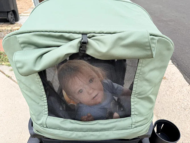 Toddler looking back through the green Waggle canopy’s mesh window
