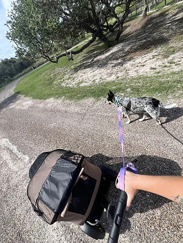 Parent pushing a brown Waggle wagon while walking a dog on a park trail