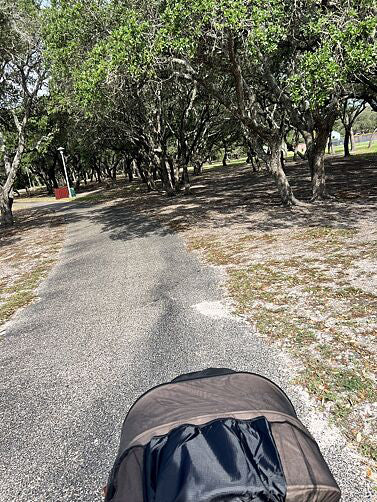 Parent’s view of a brown Waggle wagon rolling along a wooded park path