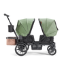 Waggle Daily Outing Kit