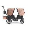 Waggle Daily Outing Kit